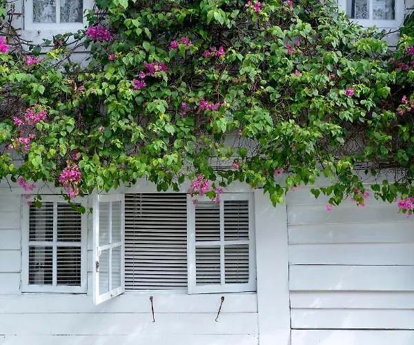 Villa Kalis, 10br, Sleeps 24, Perfect For Groups, Value Seminyak (Bali)